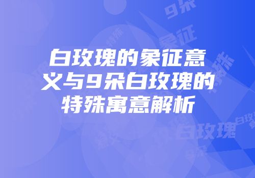 白玫瑰的象征意义与9朵白玫瑰的特殊寓意解析