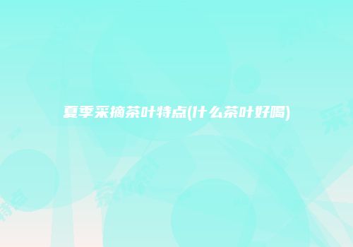 夏季采摘茶叶特点(什么茶叶好喝)