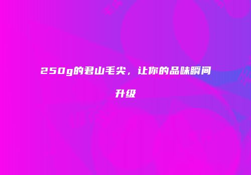 250g的君山毛尖，让你的品味瞬间升级