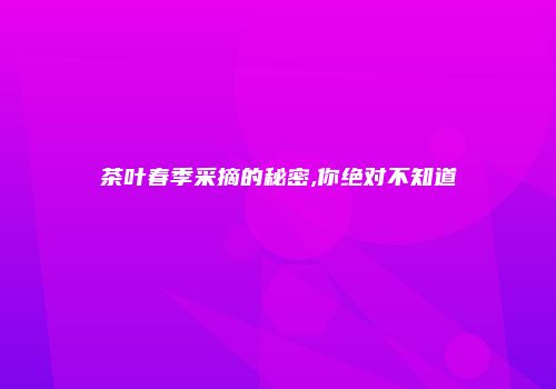 茶叶春季采摘的秘密,你绝对不知道