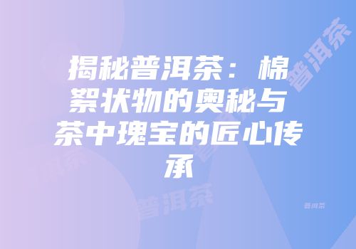 揭秘普洱茶：棉絮状物的奥秘与茶中瑰宝的匠心传承