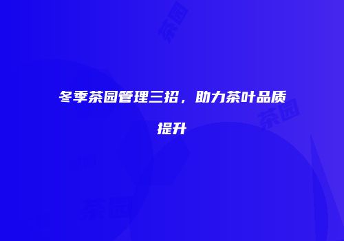 冬季茶园管理三招，助力茶叶品质提升