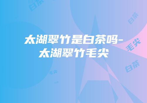 太湖翠竹是白茶吗-太湖翠竹毛尖