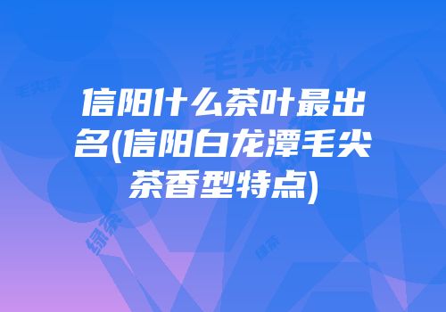 信阳什么茶叶最出名(信阳白龙潭毛尖茶香型特点)