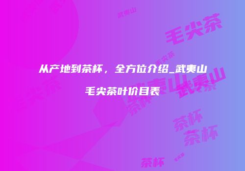 从产地到茶杯，全方位介绍_武夷山毛尖茶叶价目表