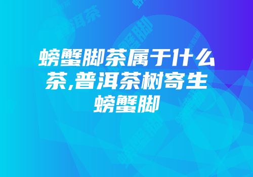 螃蟹脚茶属于什么茶,普洱茶树寄生螃蟹脚