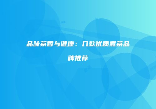 品味茶香与健康：几款优质煮茶品牌推荐