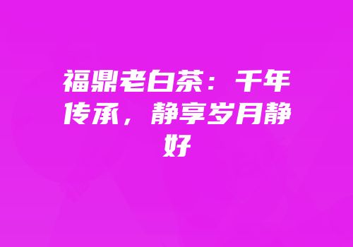 福鼎老白茶：千年传承，静享岁月静好