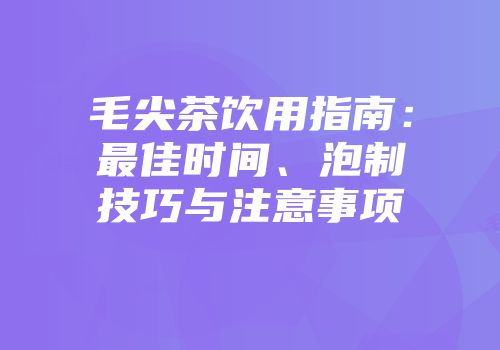 毛尖茶饮用指南：最佳时间、泡制技巧与注意事项
