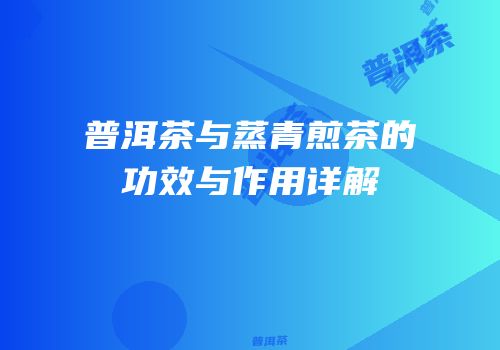 普洱茶与蒸青煎茶的功效与作用详解