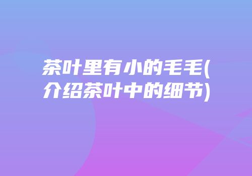 茶叶里有小的毛毛(介绍茶叶中的细节)