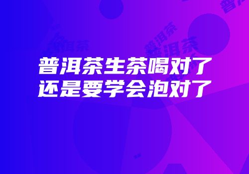 普洱茶生茶喝对了还是要学会泡对了