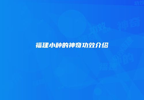 福建小种的神奇功效介绍