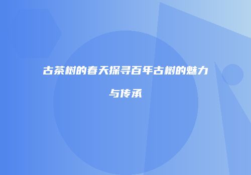 古茶树的春天探寻百年古树的魅力与传承