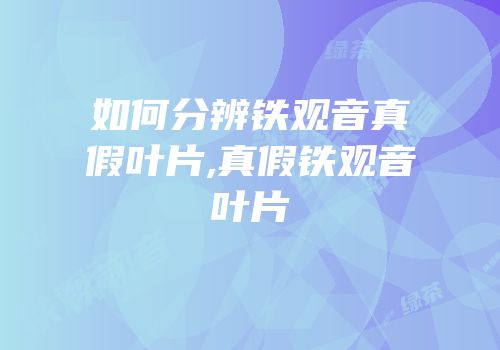 如何分辨铁观音真假叶片,真假铁观音叶片