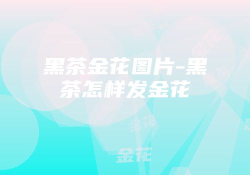 黑茶金花图片-黑茶怎样发金花