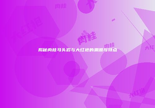 揭秘肉桂马头岩与大红袍的渊源与特点