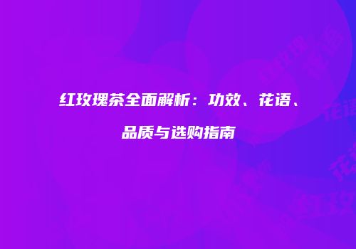 红玫瑰茶全面解析：功效、花语、品质与选购指南