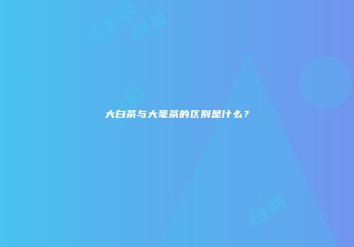 大白茶与大毫茶的区别是什么？
