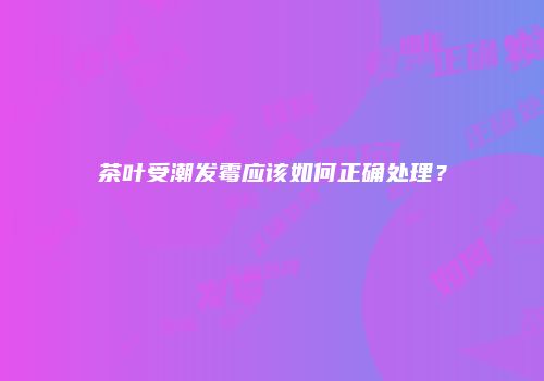茶叶受潮发霉应该如何正确处理？