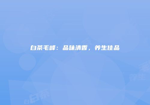 白茶毛峰：品味清香，养生佳品