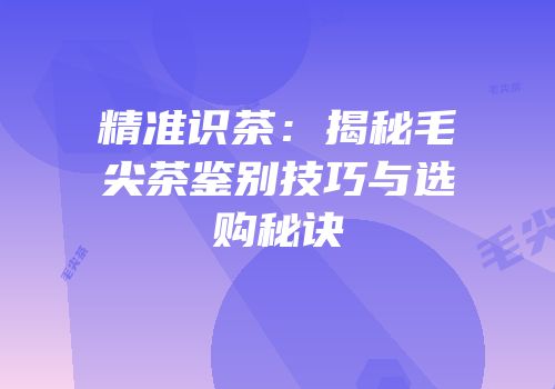精准识茶：揭秘毛尖茶鉴别技巧与选购秘诀