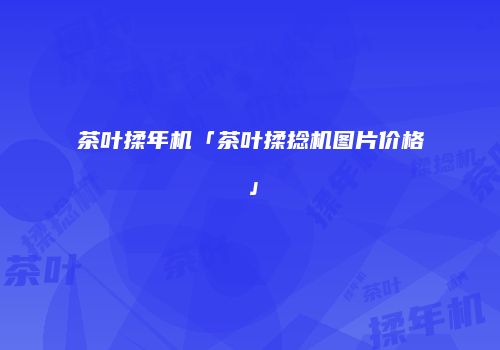 茶叶揉年机「茶叶揉捻机图片价格」