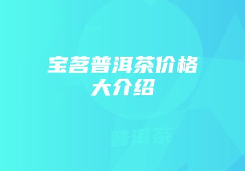 宝茗普洱茶价格大介绍