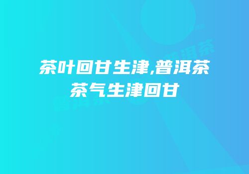 茶叶回甘生津,普洱茶茶气生津回甘