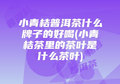 小青桔普洱茶什么牌子的好喝(小青桔茶里的茶叶是什么茶叶)