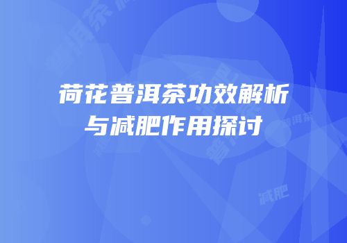 荷花普洱茶功效解析与减肥作用探讨