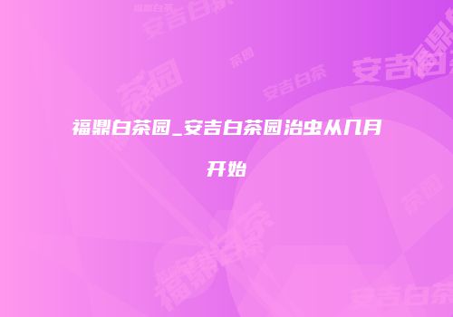 福鼎白茶园_安吉白茶园治虫从几月开始