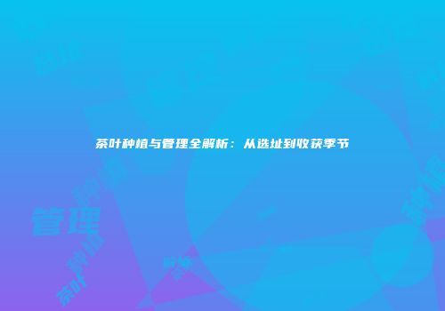 茶叶种植与管理全解析：从选址到收获季节