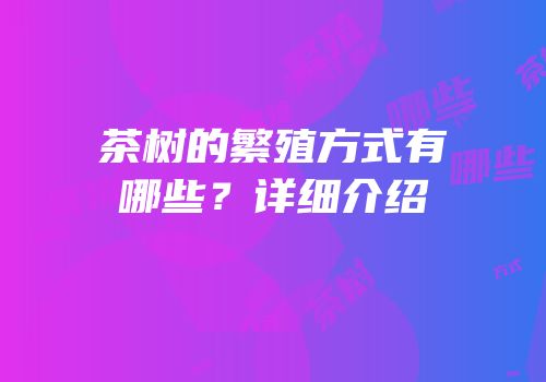 茶树的繁殖方式有哪些？详细介绍