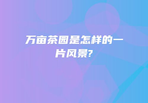 万亩茶园是怎样的一片风景?
