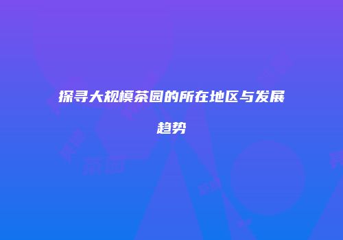 探寻大规模茶园的所在地区与发展趋势