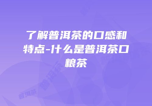 了解普洱茶的口感和特点-什么是普洱茶口粮茶