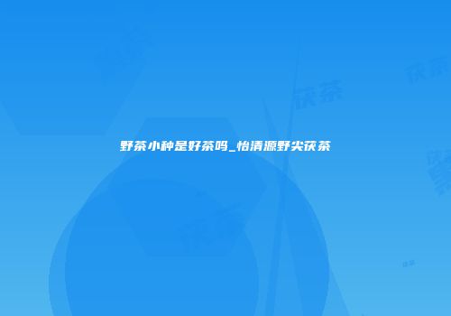 野茶小种是好茶吗_怡清源野尖茯茶