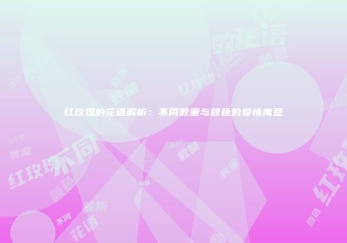 红玫瑰的花语解析：不同数量与颜色的爱情寓意