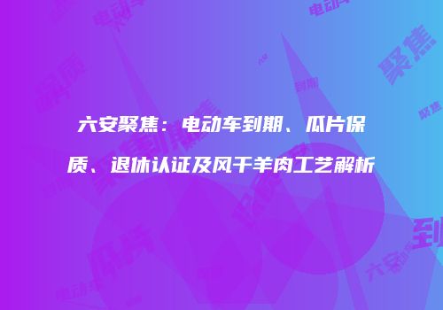 六安聚焦：电动车到期、瓜片保质、退休认证及风干羊肉工艺解析