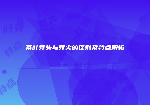 茶叶芽头与芽尖的区别及特点解析
