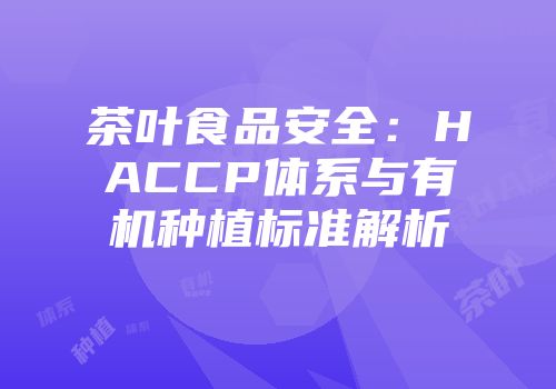 茶叶食品安全：HACCP体系与有机种植标准解析