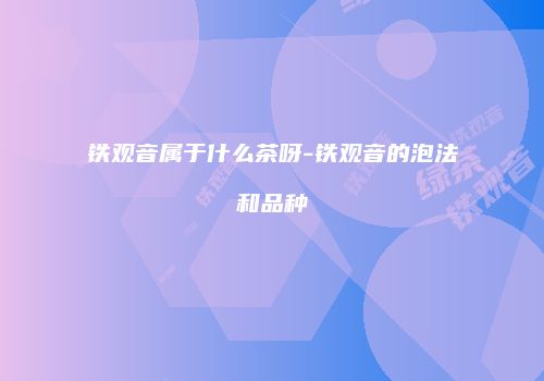 铁观音属于什么茶呀-铁观音的泡法和品种