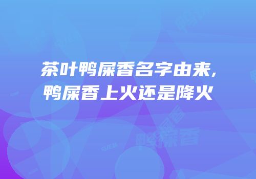 茶叶鸭屎香名字由来,鸭屎香上火还是降火