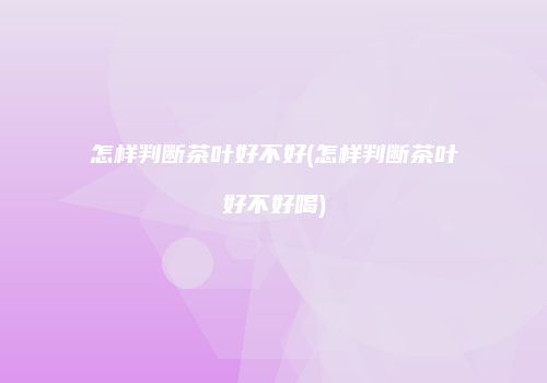 怎样判断茶叶好不好(怎样判断茶叶好不好喝)