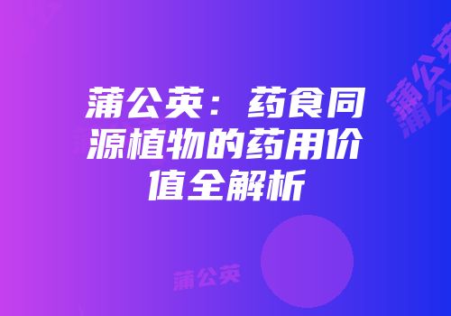 蒲公英：药食同源植物的药用价值全解析