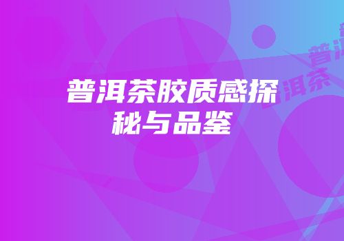 普洱茶胶质感探秘与品鉴