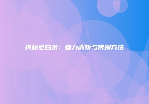 揭秘老白茶：魅力解析与辨别方法