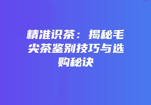 精准识茶：揭秘毛尖茶鉴别技巧与选购秘诀