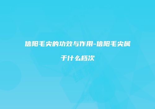 信阳毛尖的功效与作用-信阳毛尖属于什么档次